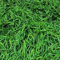 Green Chilly