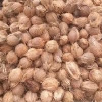 Husk Coconut